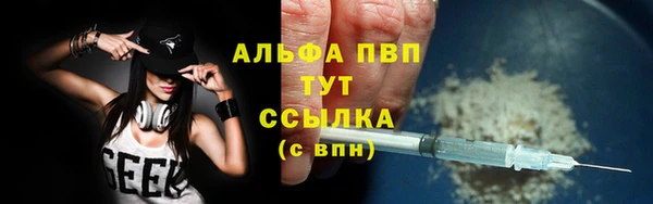 гашик Белоозёрский