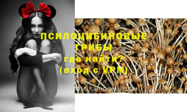соль курить ск Белокуриха