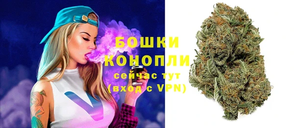 гашик Белоозёрский