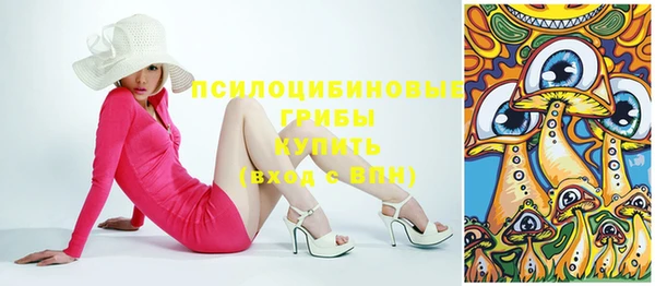соль курить ск Белокуриха